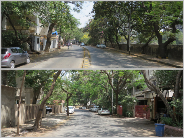 Beautiful, quiet and tree filled streets of Juhu